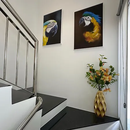 Center House 펜션 *